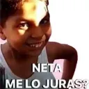 Neta