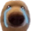toasthSaddog