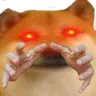 doge_hands