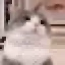 DR_LunaPoke DR_LunaPoke