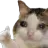 cry_ok
