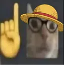luffyerm