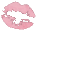 pink_Kissmarks