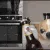 party_owo