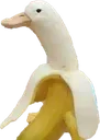 BananaGoose Discord emoji