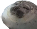 HappySeal Discord emoji