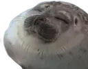 HappySeal
