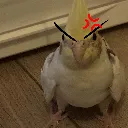 angry_bird