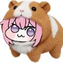 dorohamster
