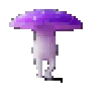 rattuse_fungus rattuse_fungus