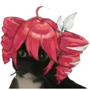 teto_cat2 teto_cat2