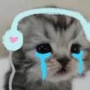 KarmaCatCry