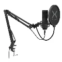 mic