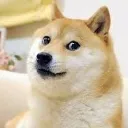 doge
