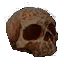 skull_cb