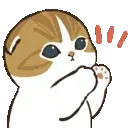 1_catclap