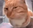 sideeye
