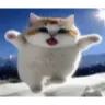 yippie