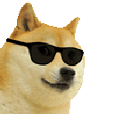 CoolDoge