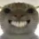 catsmile