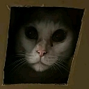 :gato: