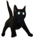 animal_cat_spook