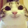 hey