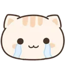 cry_meowww