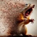 morrendo custom emote | Casa do caralho