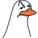 judgemental_duck