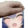 nj_pat