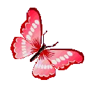 76730butterflyred