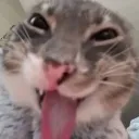 emoji_50