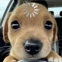 thinkingpup