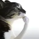 thinker