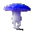 bibulet_fungus bibulet_fungus