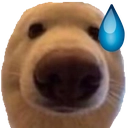 dog_ughdawg Discord emoji
