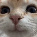 idkwhattonamethisonetbh