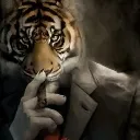 smokingtiger