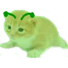 glary