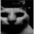 umer_nahui Discord Emoji from ☾ World To Majestica ☽