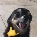 emoji_62