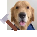 cocoHammer