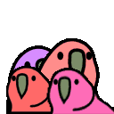 :quad_parrot: