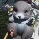 wwmrat wwmrat