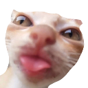 silly Discord emoji