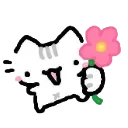 b4white_flowercat