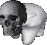 SkullBearDance