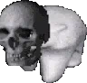 <a:SkullBearDance:1452805175952670861>
