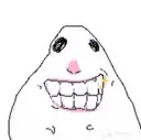 hamster_bigsmile